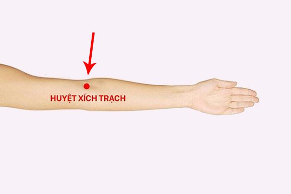 Huyệt Xích Trạch