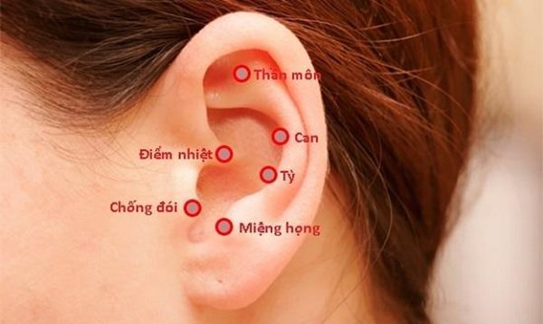 Tìm hiểu các huyệt ở vùng tai