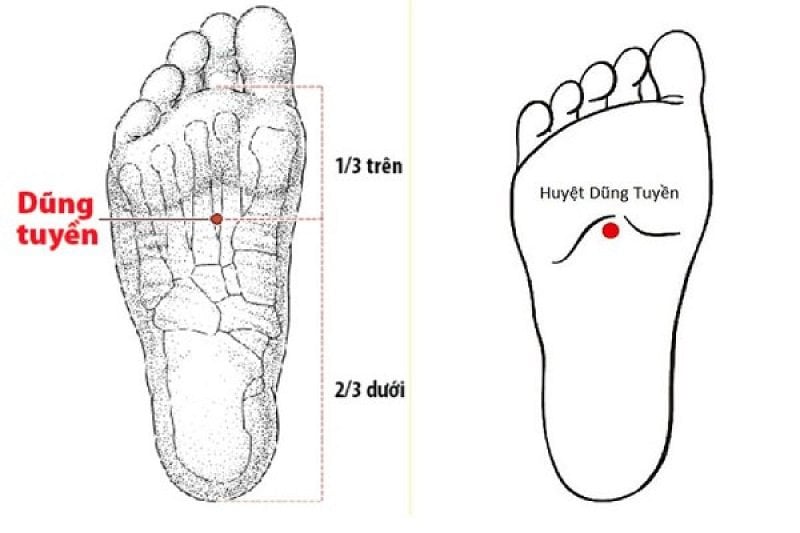 Hình ảnh vị trí của huyệt dũng tuyền