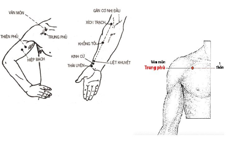 các huyệt vùng bụng