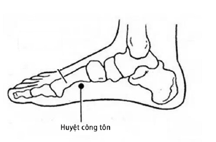 Huyệt công tôn có tác dụng gì?