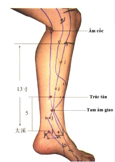 huyệt âm cốc