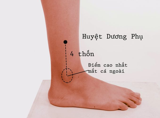 huyệt dương phụ