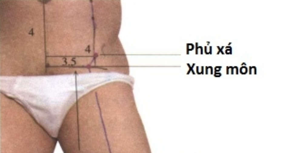 phủ xá