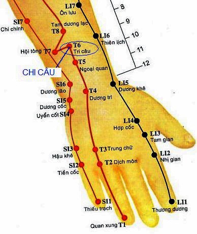 Huyệt chi câu cần xác định chính xác trước khi châm cứu