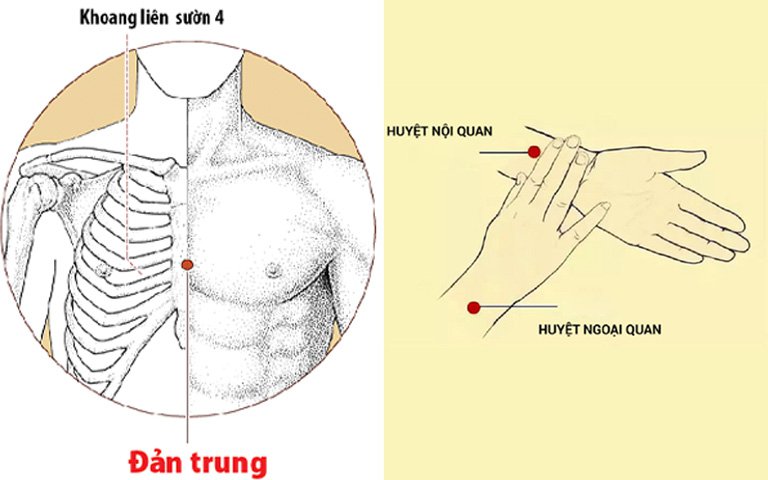 huyệt đản trung