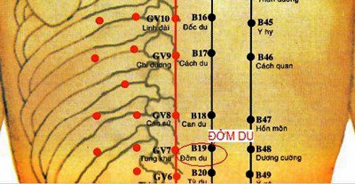 Vị trí và tác dụng huyệt Đởm Du