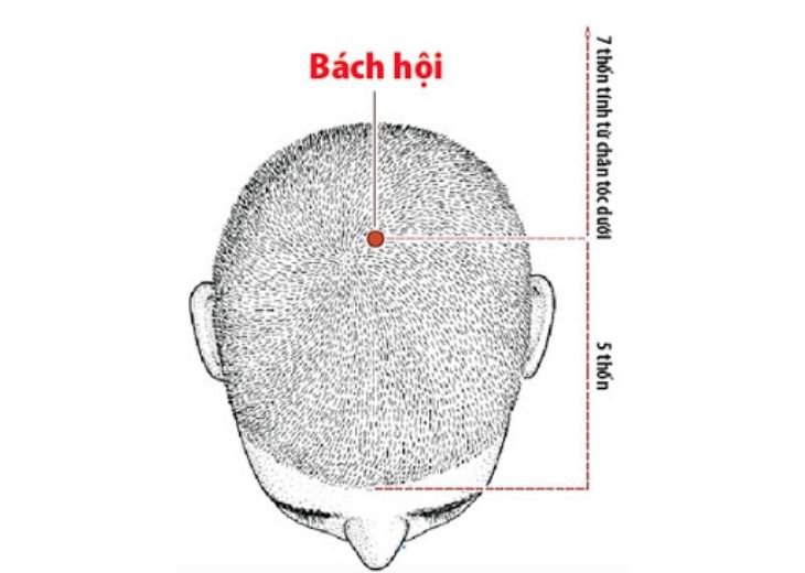 Huyệt bách hội có tác dụng gì?