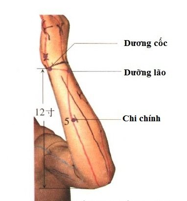 Vị trí và tác dụng của huyệt chi chính