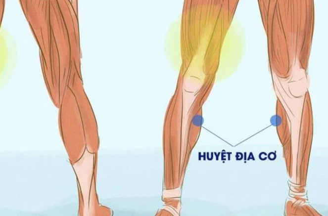 Huyệt địa cơ trị tiểu đường