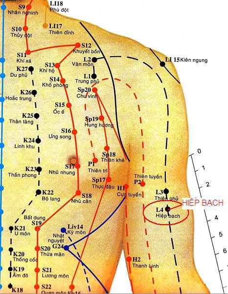 huyệt hiệp bạch