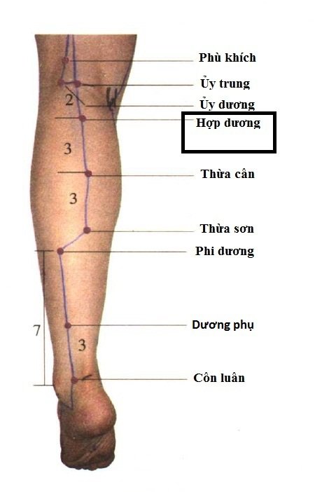 Tác dụng của huyệt hiệp dương