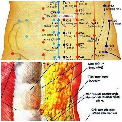 Vị trí và tác dụng Huyệt Hoang Du