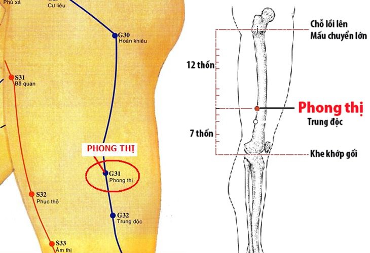 Vị trí và tác dụng huyệt Phong Thị