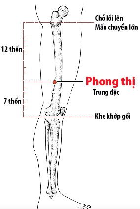 huyệt phong thị