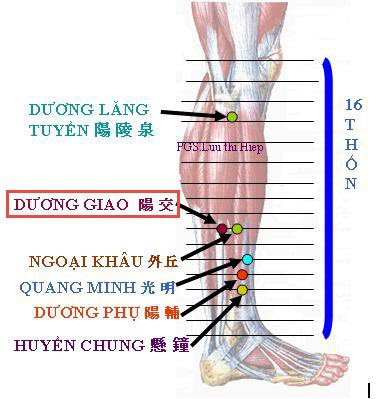 huyệt dương giao