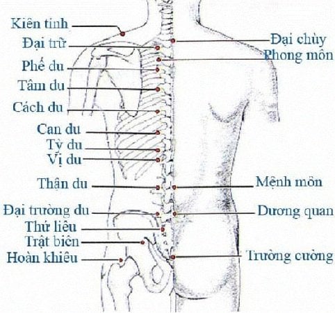 huyệt Cách Du