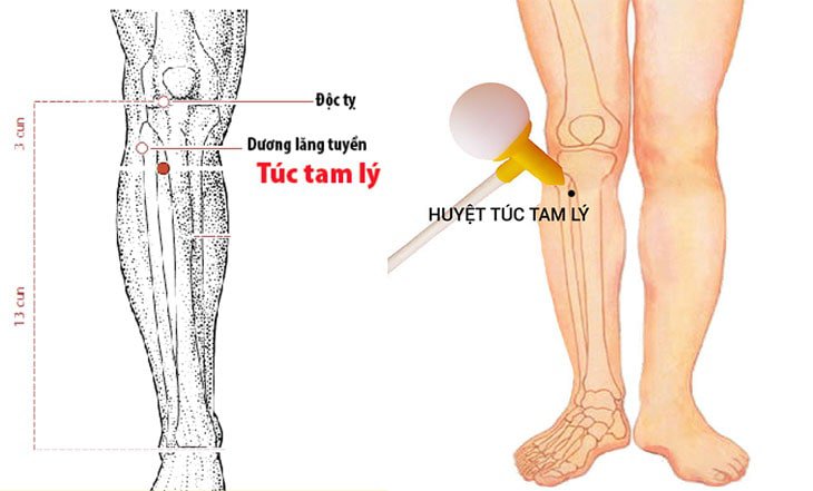 huyệt Túc Tam Lý