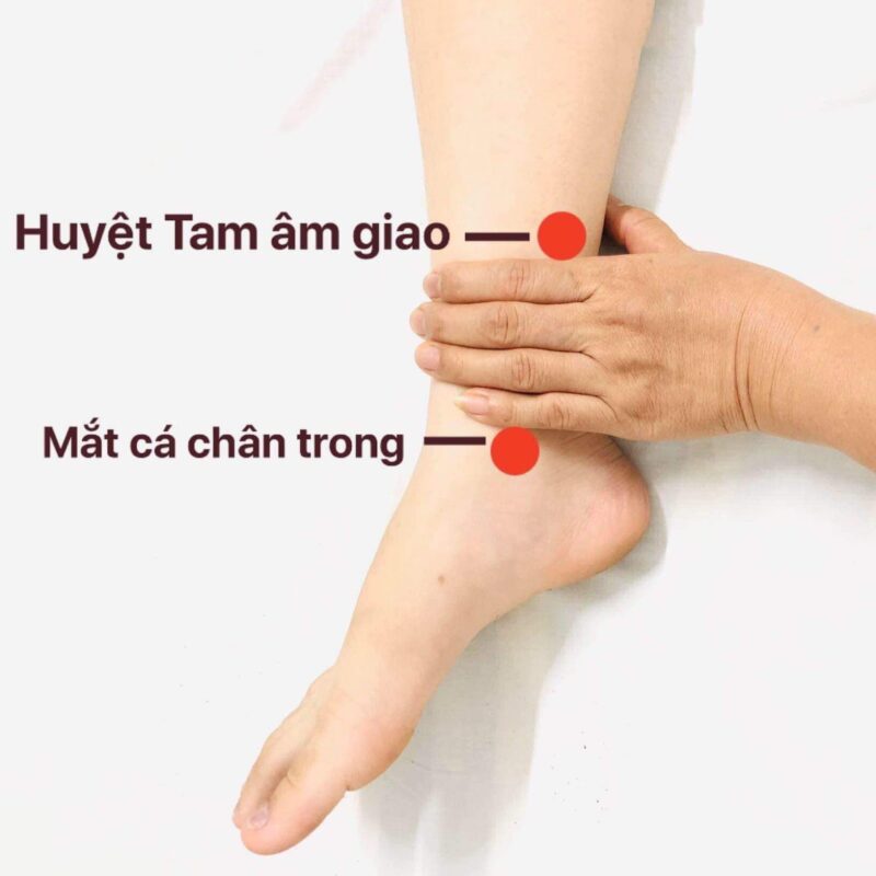 Day huyệt tam âm giao chữa bệnh gì?