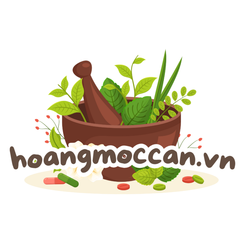 Hoàng Mộc Can – Hỗ trợ giúp lá gan khỏe mạnh – Phương pháp cân bằng